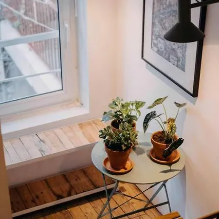 Le Duche - Superbe Duplex Historique Appartement Nantes