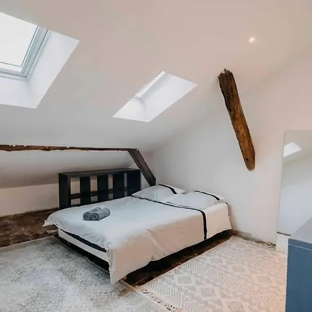 Le Duche - Superbe Duplex Historique Nantes