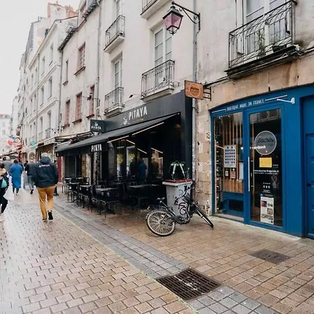 Apartment Le Duche - Superbe Duplex Historique *